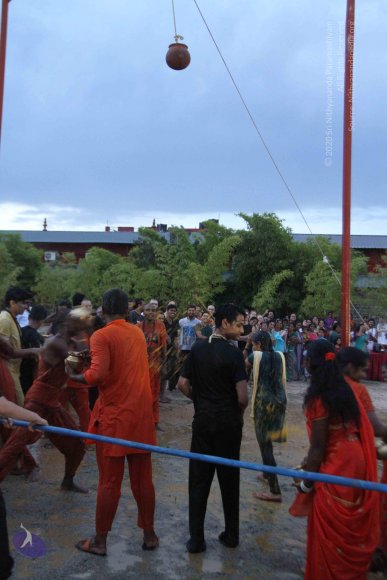 20160825_Photo_1118_IMG_6004_CMP_WM