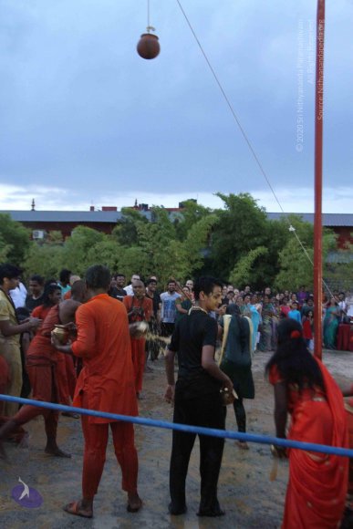 20160825_Photo_1120_IMG_6006_CMP_WM