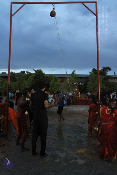 20160825_Photo_1145_IMG_6082_CMP_WM