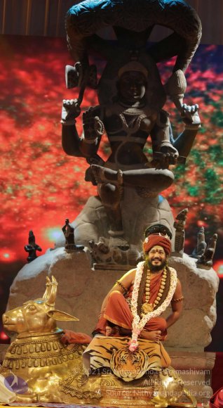 G28A9037_CMP_WM Done