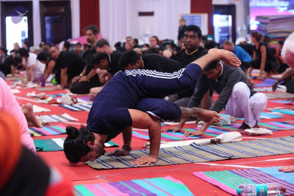 20161205_Photo_1017_IMGL5951_CMP_WM