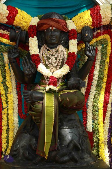 20161205_Photo_1003_IMGL6022_CMP_WM