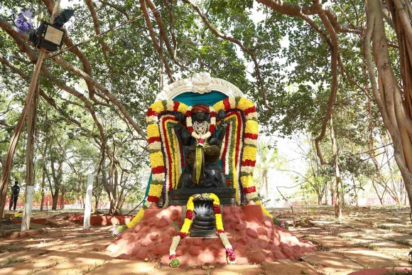 20161205_Photo_1004_IMGL6034_CMP_WM