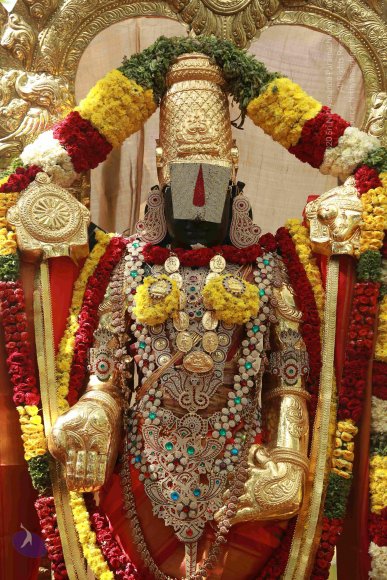 20161205_Photo_1006_IMGL6055_CMP_WM