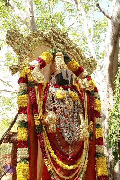 20161205_Photo_1007_IMGL6074_CMP_WM