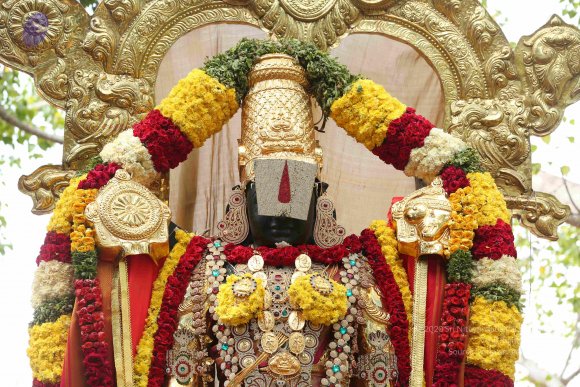 20161205_Photo_1008_IMGL6086_CMP_WM