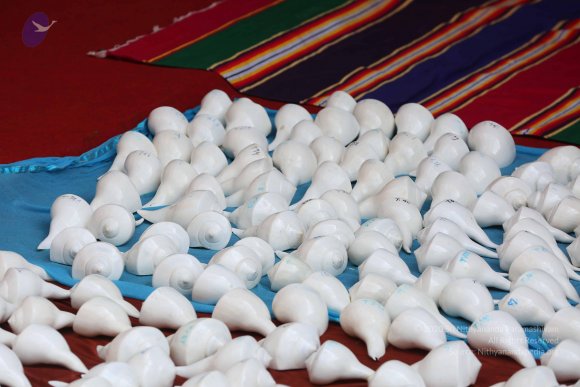 20161205_Photo_1009_IMGL6095_CMP_WM