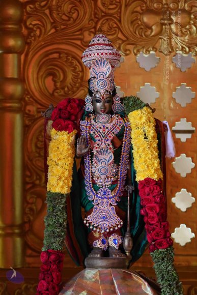 20161205_Photo_1011_IMGL6149_CMP_WM