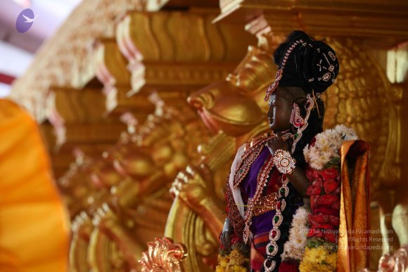 20161205_Photo_1012_IMGL6173_CMP_WM