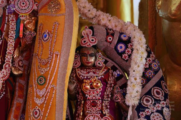 20161205_Photo_1013_IMGL6204_CMP_WM