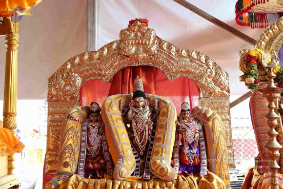 20161205_Photo_1017_IMGL6244_CMP_WM