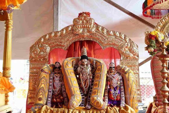 20161205_Photo_1018_IMGL6245_CMP_WM