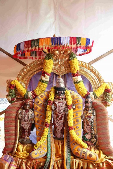 20161205_Photo_1019_IMGL6252_CMP_WM