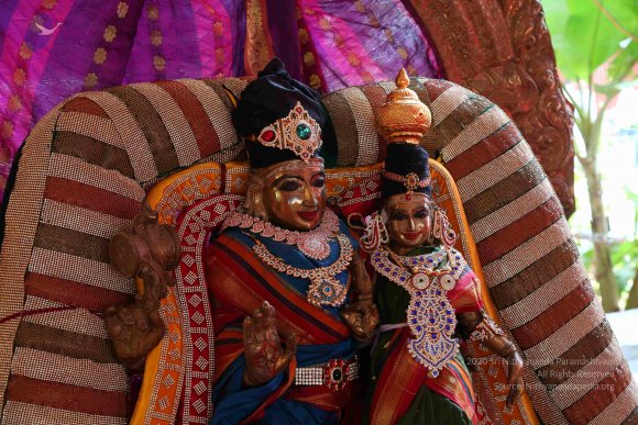 20161205_Photo_1020_IMGL6269_CMP_WM