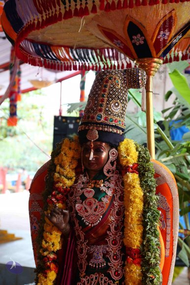 20161205_Photo_1022_IMGL6292_CMP_WM