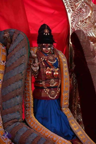 20161205_Photo_1026_IMGL6346_CMP_WM