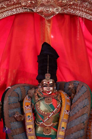 20161205_Photo_1027_IMGL6349_CMP_WM