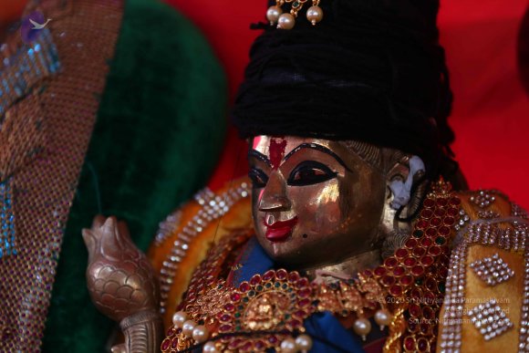 20161205_Photo_1028_IMGL6362_CMP_WM