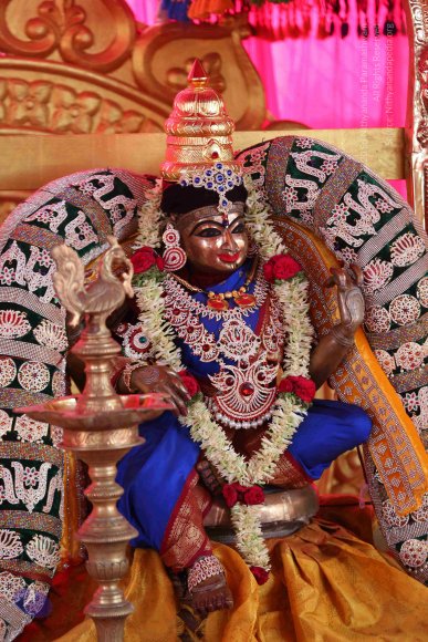 20161205_Photo_1030_IMGL6388_CMP_WM