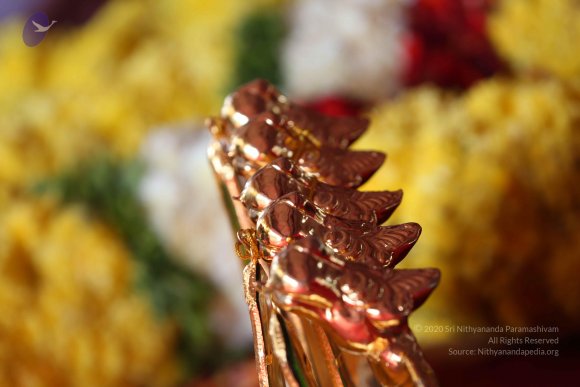 20161205_Photo_1032_IMGL6409_CMP_WM