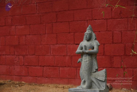 20161205_Photo_1036_IMGL6461_CMP_WM