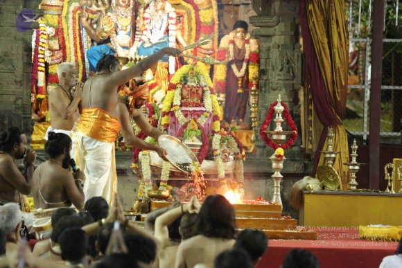 20161207_Photo_1048_G28A6596_CMP_WM