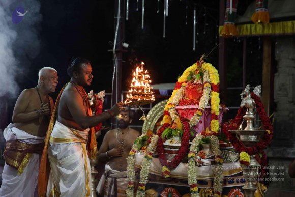 20161207_Photo_1077_IMGL0101_CMP_WM