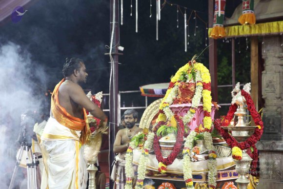 20161207_Photo_1083_IMGL0127_CMP_WM