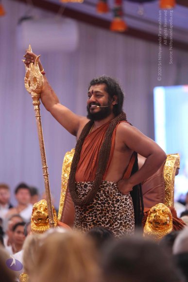 20161204_Photo_1038_IMGL5558_CMP_WM