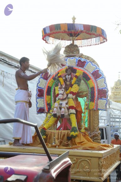 20161204_Photo_1045_IMG_3297_CMP_WM