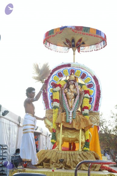 20161204_Photo_1055_IMG_3290_CMP_WM