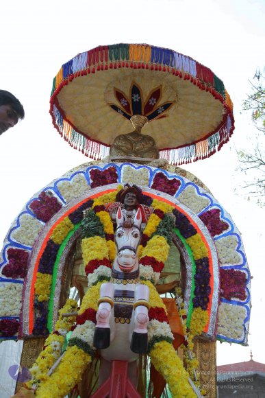 20161204_Photo_1058_IMG_3305_CMP_WM