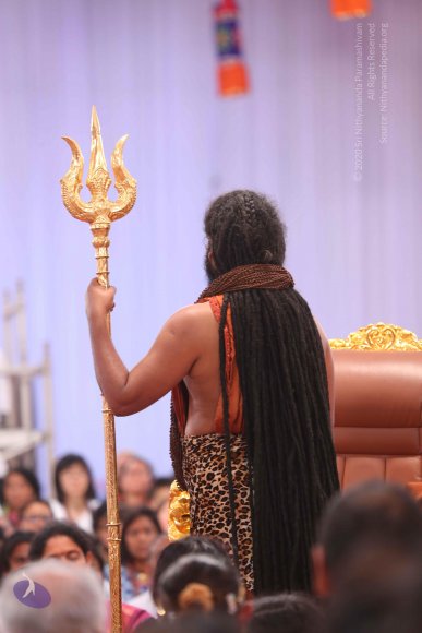 20161204_Photo_1070_IMGL5601_CMP_WM