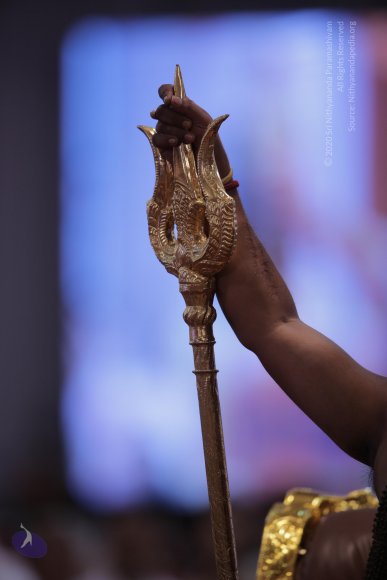 20161204_Photo_1183_G28A3760_CMP_WM