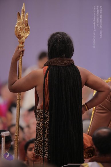 20161204_Photo_1194_G28A3864_CMP_WM