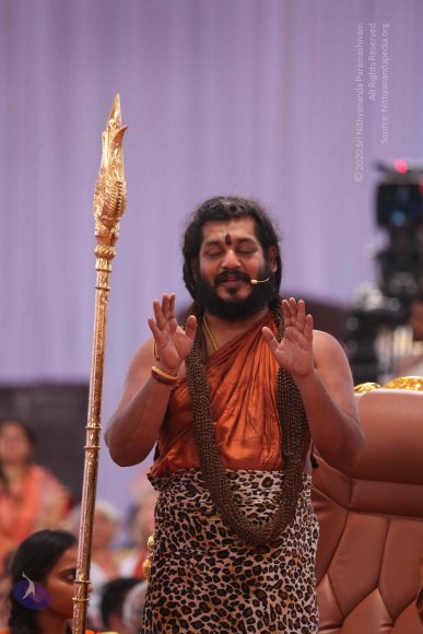 20161204_Photo_1230_IMGL5681_CMP_WM