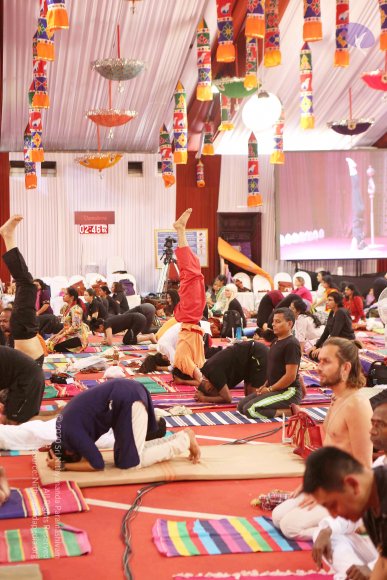 20161210_Photo_1072_G28A8429_CMP_WM