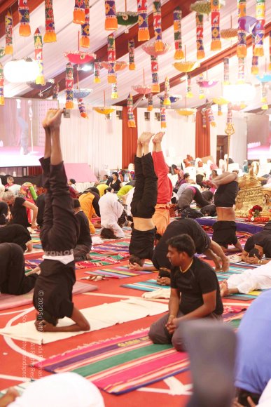 20161210_Photo_1090_G28A8421_CMP_WM