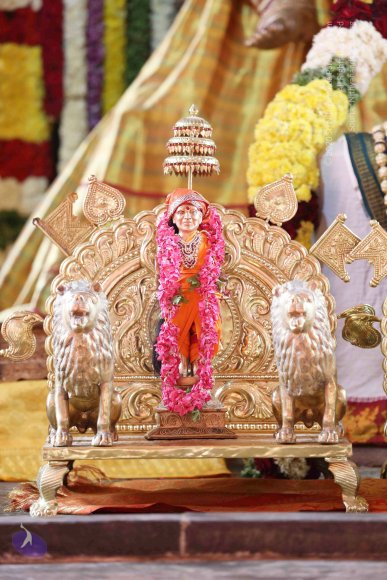 20161210_Photo_1006_IMGL2916_CMP_WM