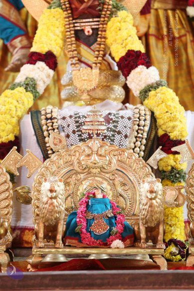 20161210_Photo_1007_IMGL2921_CMP_WM