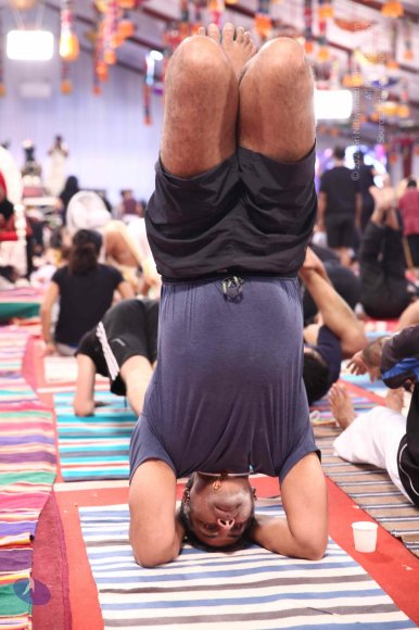 20161217_Photo_1049_4H7A3491_CMP_WM