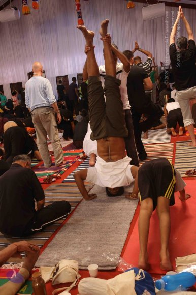 20161217_Photo_1090_G28A9687_CMP_WM