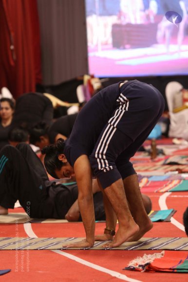 20161217_Photo_1097_G28A9724_CMP_WM