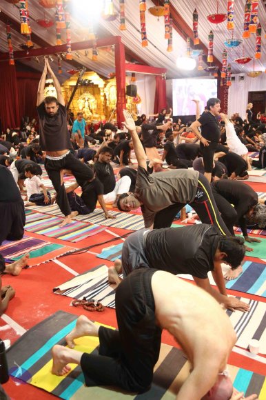 20161217_Photo_1101_IMGL0005_CMP_WM