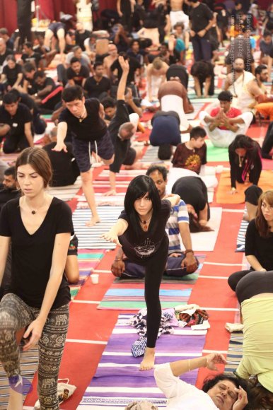 20161217_Photo_1113_IMGL0079_CMP_WM