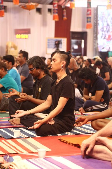 20161217_Photo_1139_IMGL9933_CMP_WM