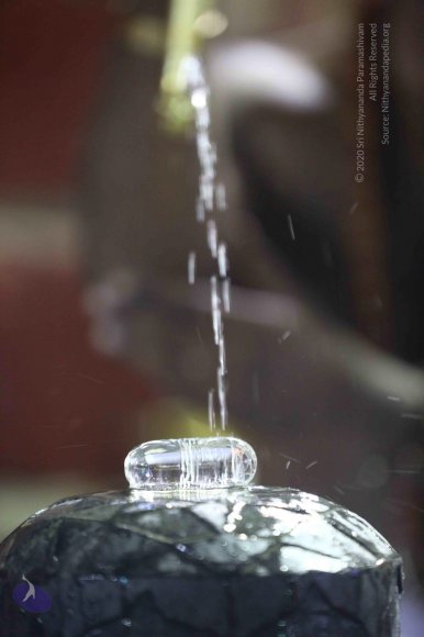 20161220_Photo_1017_IMGL4256_CMP_WM