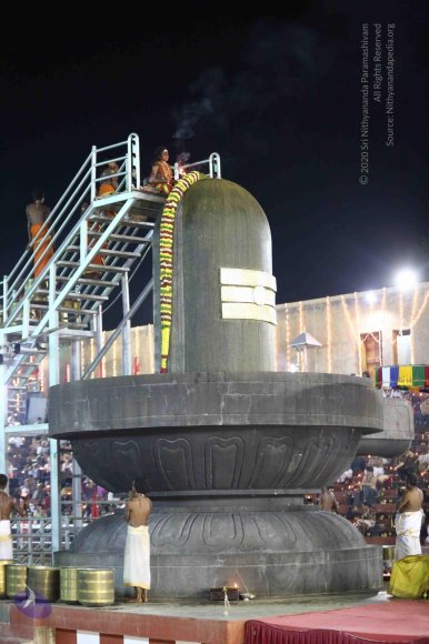 20161220_Photo_1026_IMGL4288_CMP_WM