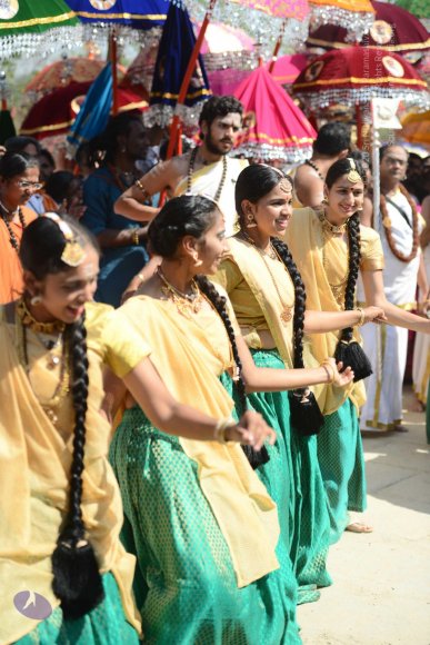 20161223_Photo_1013_DSC_4112_CMP_WM