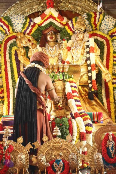 20161223_Photo_1004_4H7A7615_CMP_WM